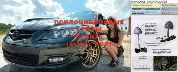 каннабис Абинск