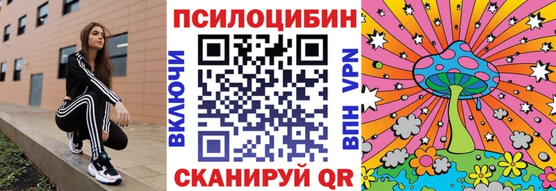 Галлюциногенные грибы прущие грибы  Анадырь 